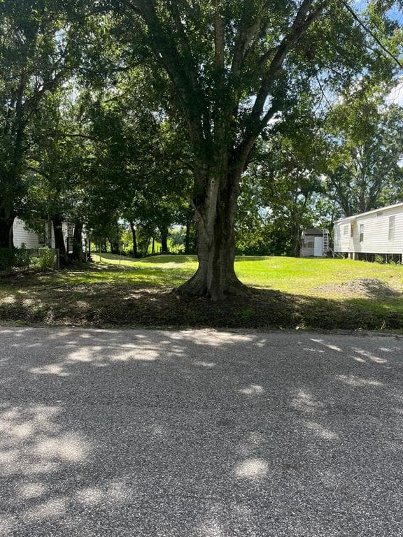 11321 POINSETTIA STREET RIVERVIEW, FL 33578