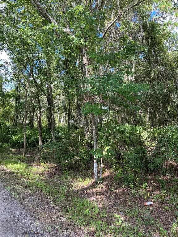 13021-31 FULLER AVENUE NEW PORT RICHEY, FL 34654