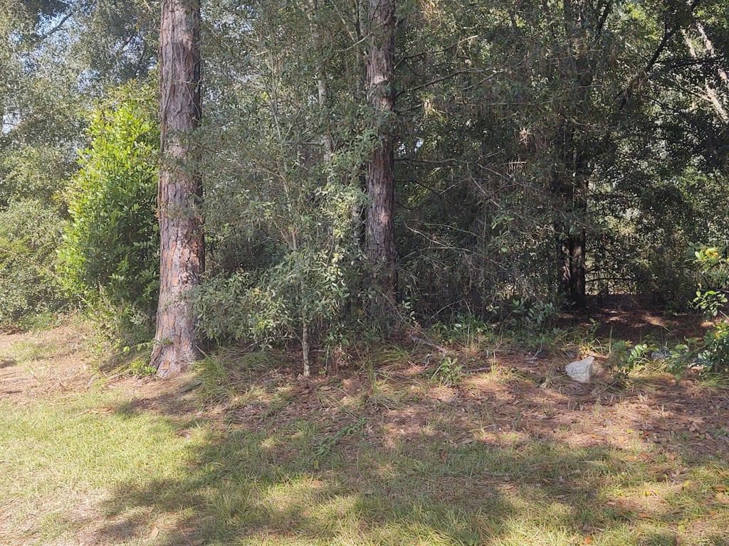 NELSON ROAD DADE CITY, FL 33525