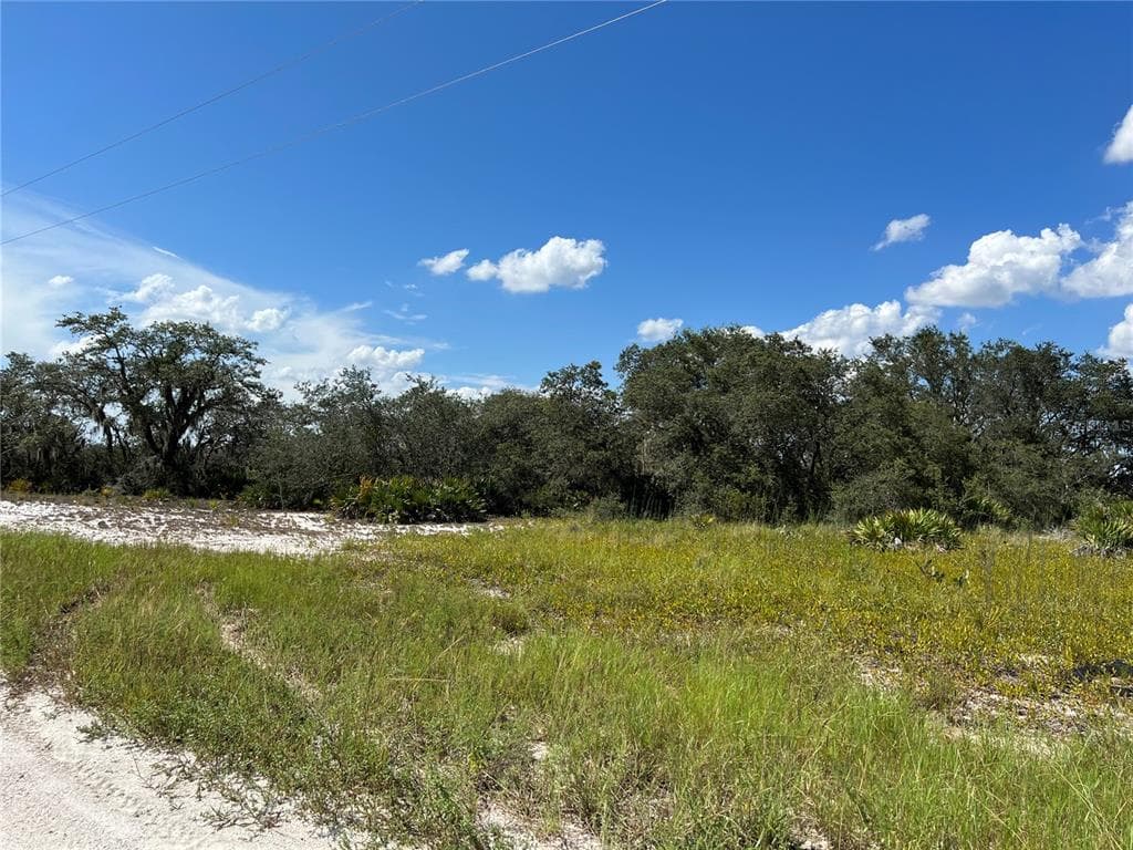 W SHULA ROAD AVON PARK, FL 33825