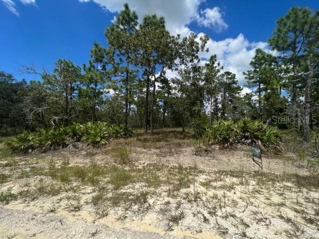 12159 SCARLET IBIS AVENUE WEEKI WACHEE, FL 34614