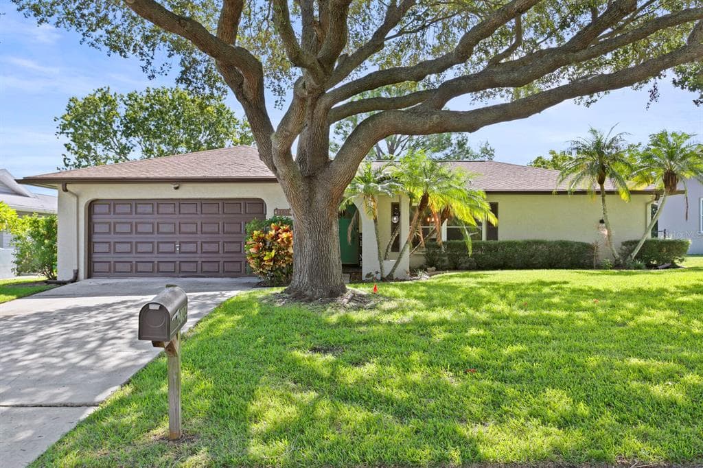 2104 SWAN LANE SAFETY HARBOR, FL 34695
