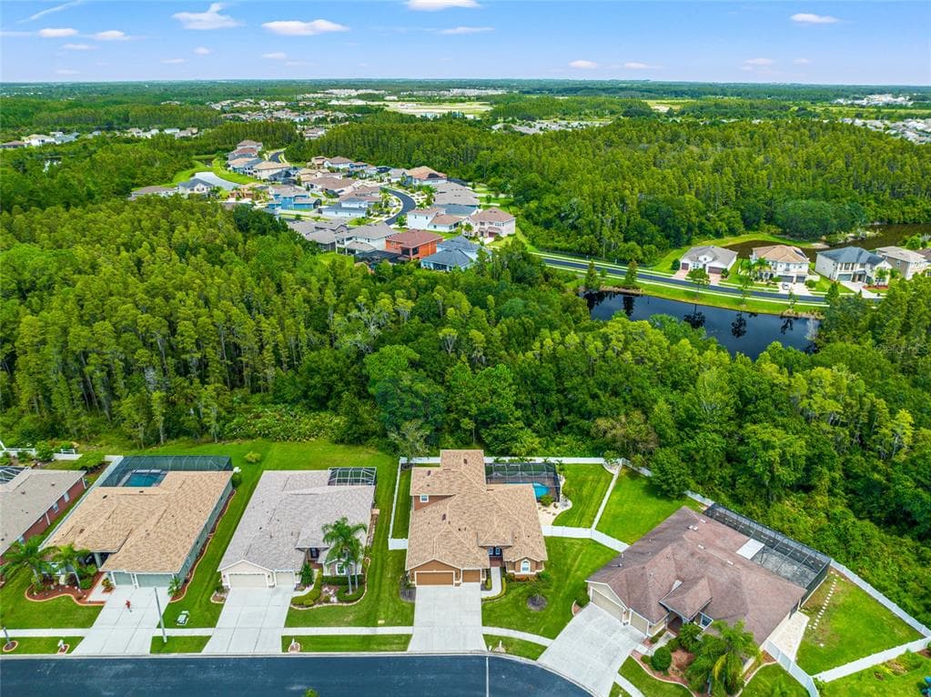 1520 BEACONSFIELD DRIVE WESLEY CHAPEL, FL 33543