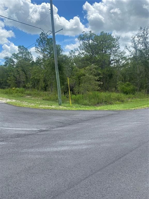 13183 ENGLISH FIR COURT WEEKI WACHEE, FL 34614