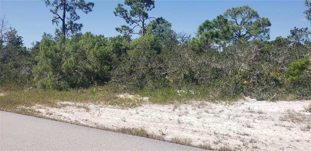 111 CHIPPEWA AVE LAKE PLACID, FL 33852