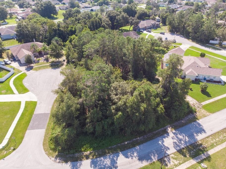 1240 CIRO AVENUE SPRING HILL, FL 34609