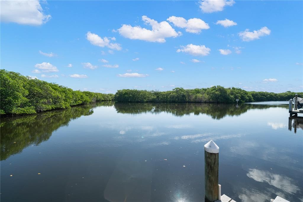 7289 MOUNT PINEY ROAD NE UNIT 707 ST PETERSBURG, FL 33702