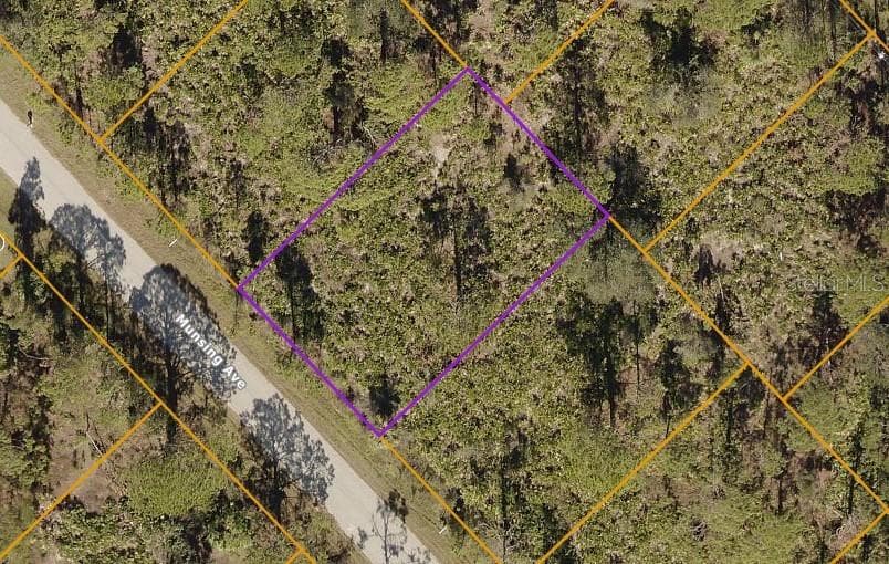MUNSING AVENUE NORTH PORT, FL 34291