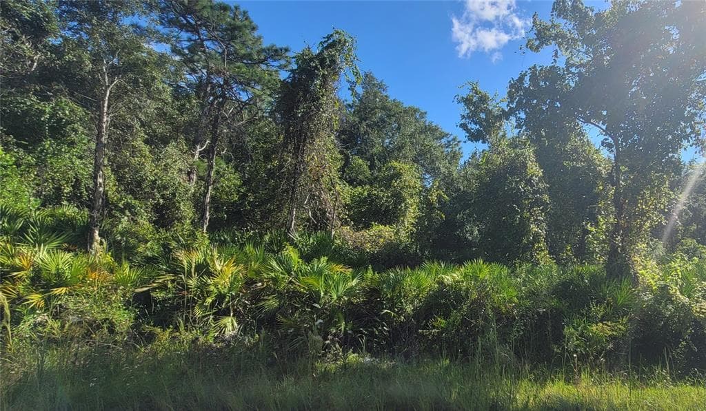 10684 NAPER STREET NEW PORT RICHEY, FL 34654