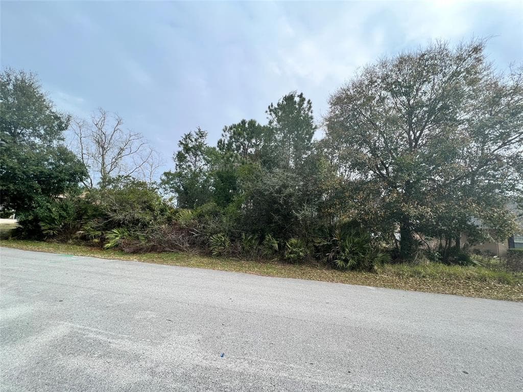 62 BICKFORD DRIVE PALM COAST, FL 32137