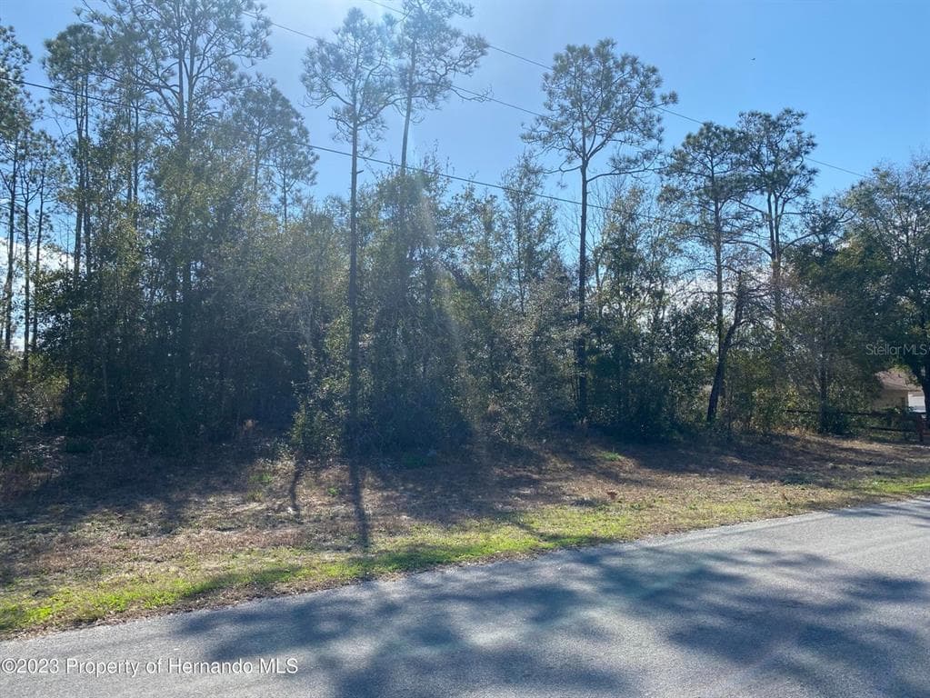 12346 PITCAIRN STREET BROOKSVILLE, FL 34613