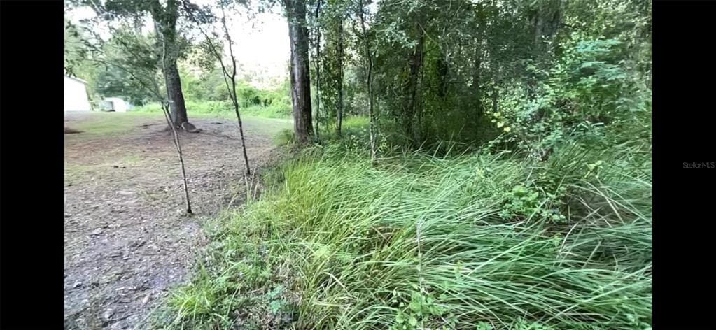 Lots 1-4 ORLAND STREET NEW PORT RICHEY, FL 34654