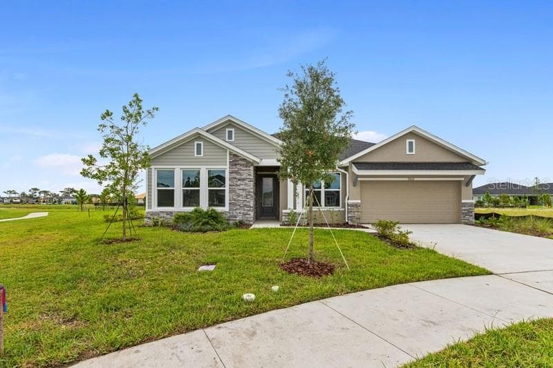 31602 GODWIN COURT WESLEY CHAPEL, FL 33545