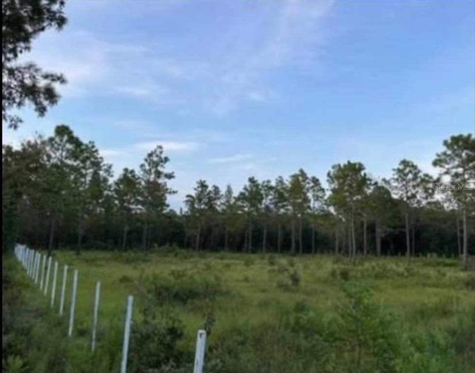 12505 SW 91ST LANE OCALA, FL 34481
