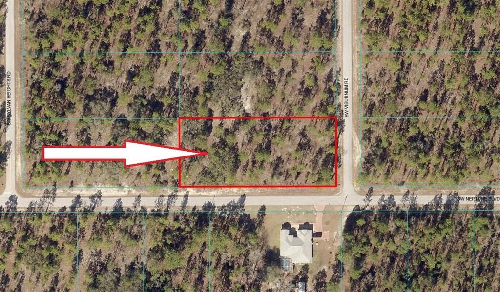 Lot 20 SW NEPTUNE DUNNELLON, FL 34431