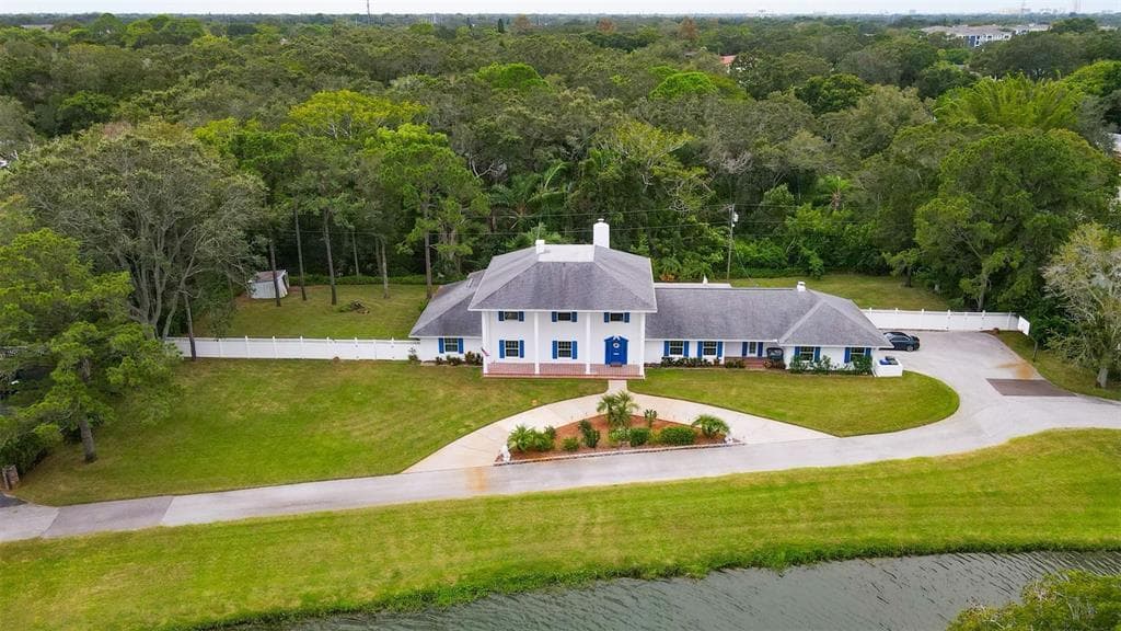 1091 VIRGINIA STREET DUNEDIN, FL 34698