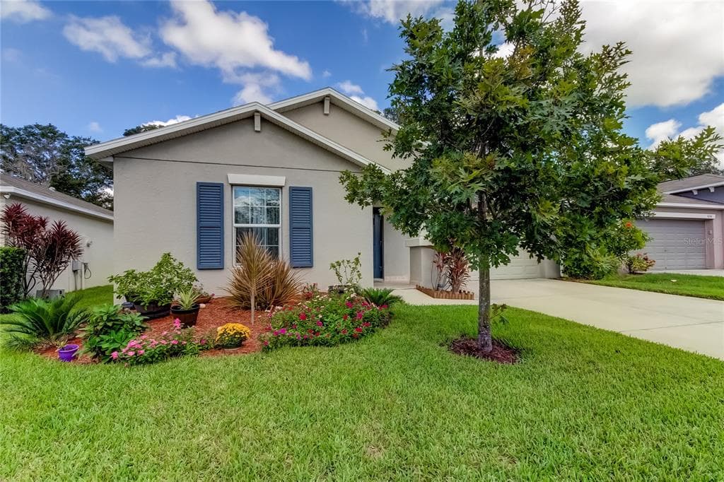 10238 STRAWBERRY TETRA DRIVE RIVERVIEW, FL 33578