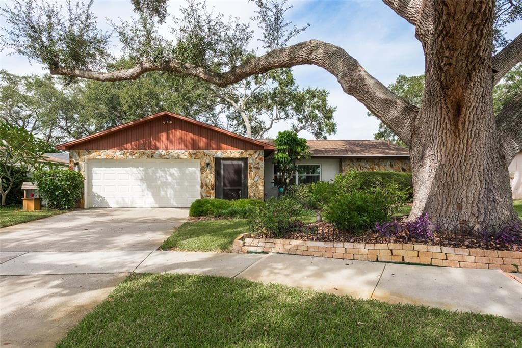 201 19TH STREET PALM HARBOR, FL 34683