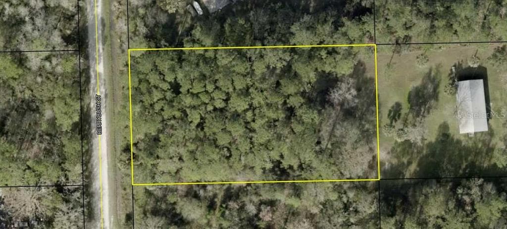 1573 BERRYBUSH STREET BUNNELL, FL 32110