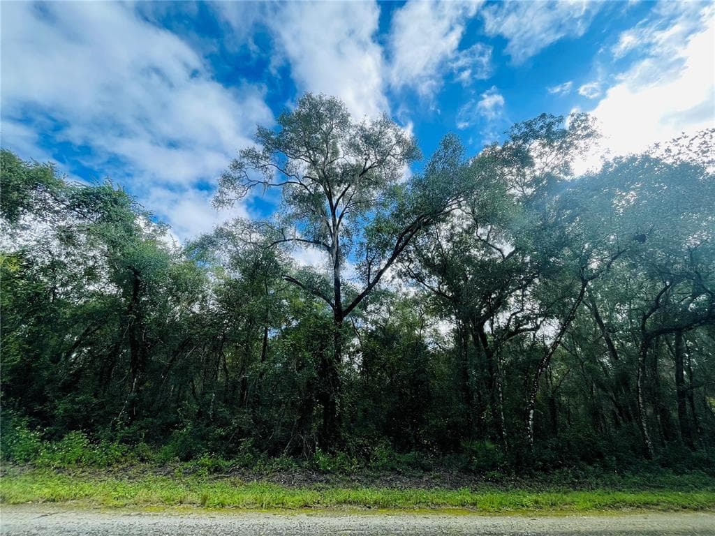 ELAINE DRIVE WEBSTER, FL 33597
