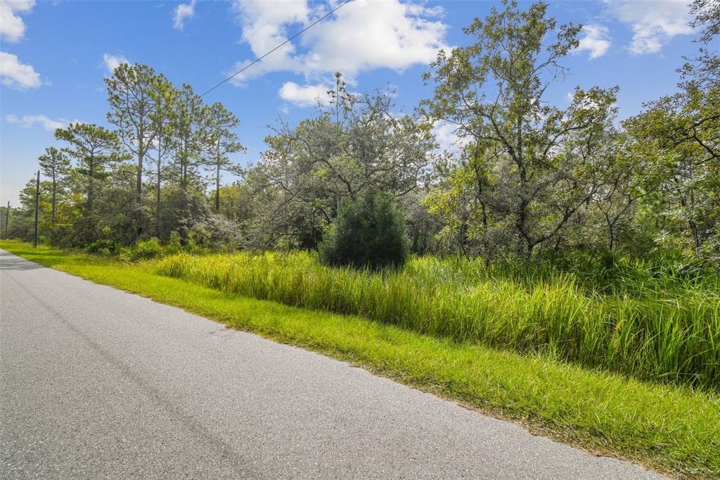 LOT 2 WOOD OWL AVENUE WEEKI WACHEE, FL 34614