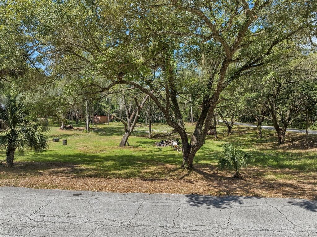 17913 GREENSBORO STREET SPRING HILL, FL 34610