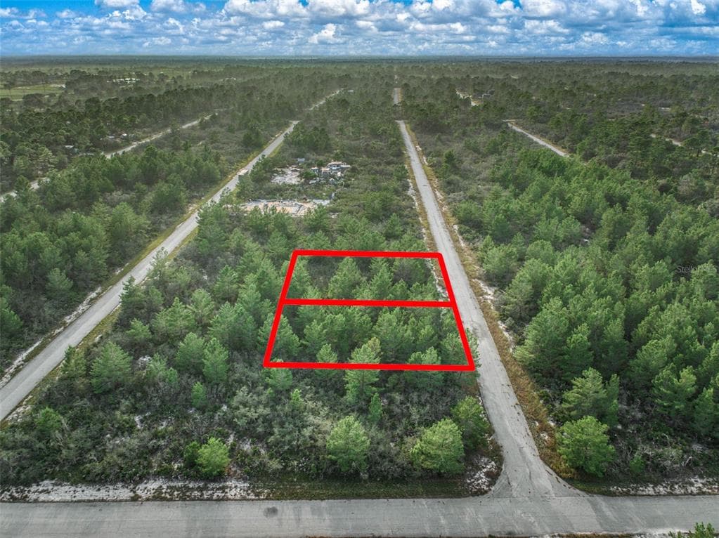 3328 LIANE (AKA PINE KNOLL) ROAD LAKE PLACID, FL 33852