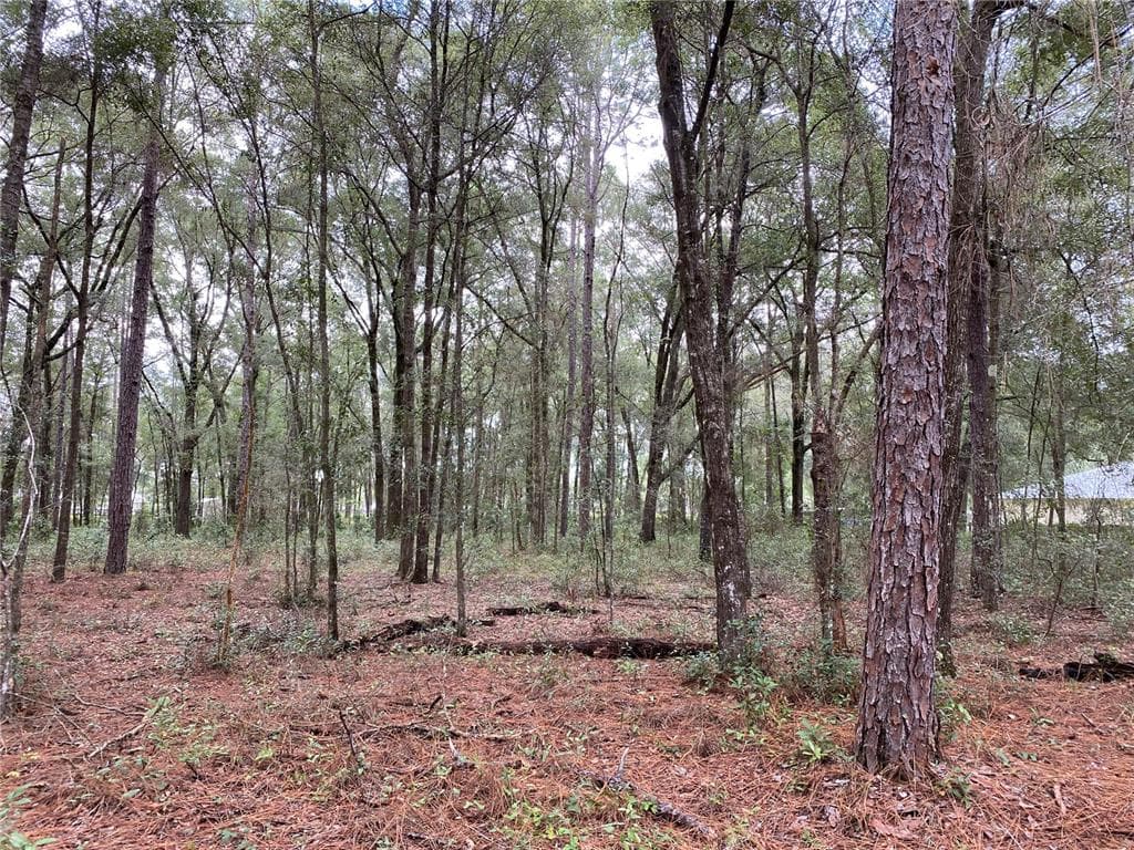 SW 39TH LANE OCALA, FL 34481