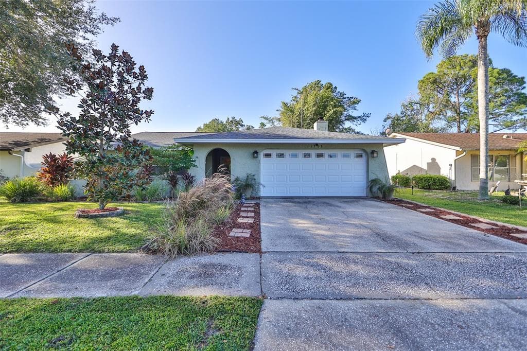 11703 COUNTRY RUN ROAD TAMPA, FL 33624