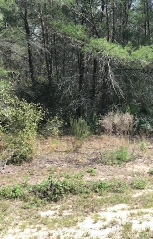 SW 152ND LANE ROAD OCALA, FL 34473