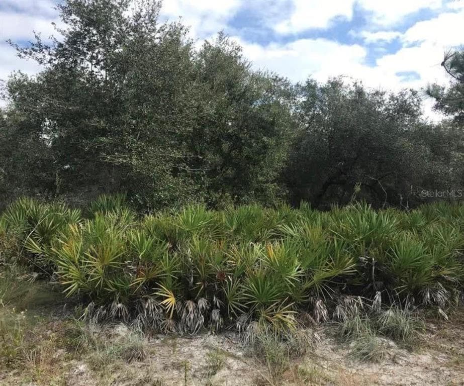 1492 SULSTONE DRIVE PUNTA GORDA, FL 33983