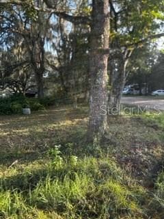 3310 DEEPWOOD STREET BROOKSVILLE, FL 34604
