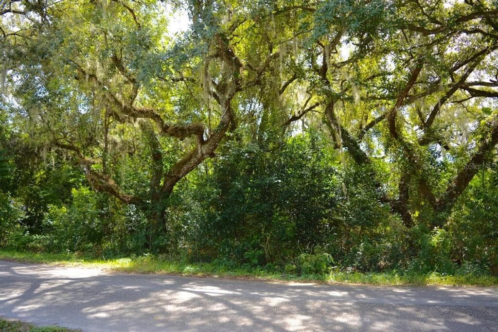 5343 AZALEA CIRCLE DADE CITY, FL 33523