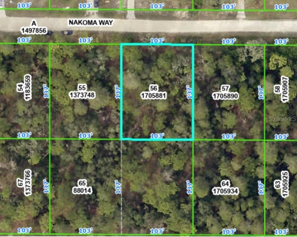 NAKOMA WAY WEEKI WACHEE, FL 34613