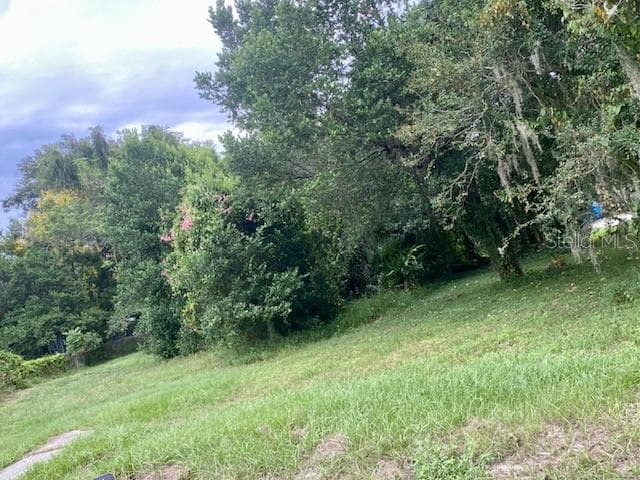 10701 WALKER ROAD THONOTOSASSA, FL 33592