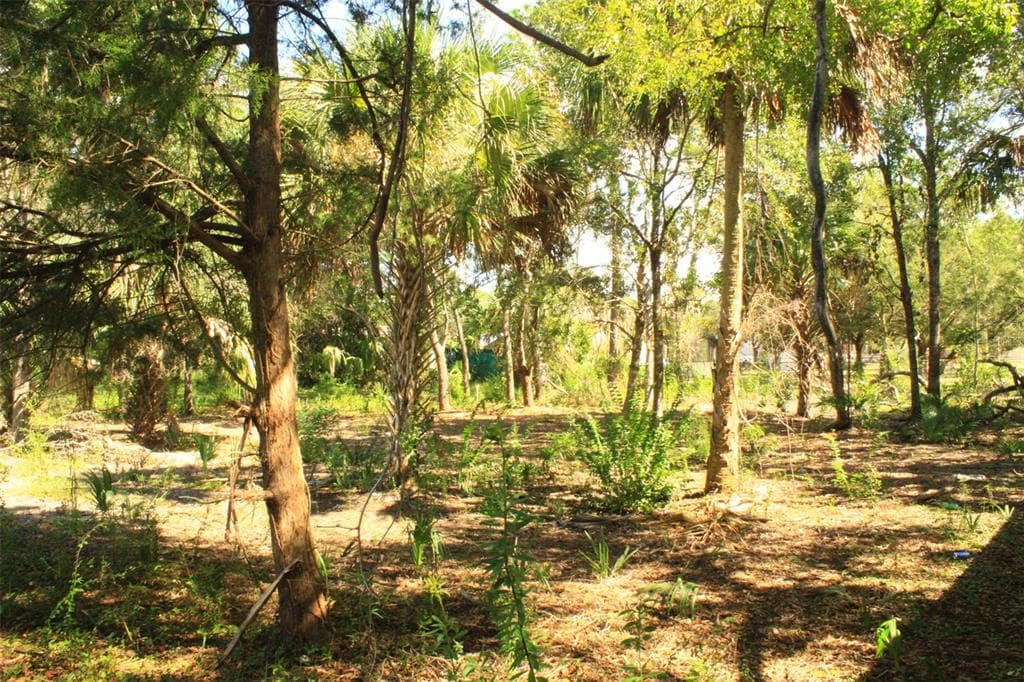 7483 W PEDERSEN LOOP HOMOSASSA, FL 34446