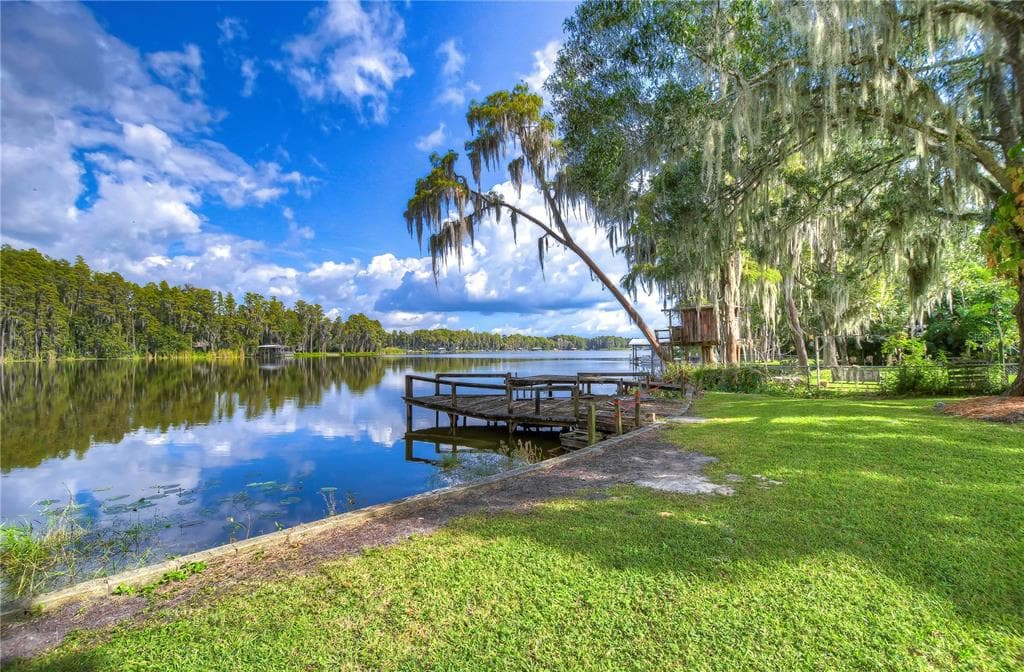 21872 PINEYWOOD LOOP LAND O LAKES, FL 34639