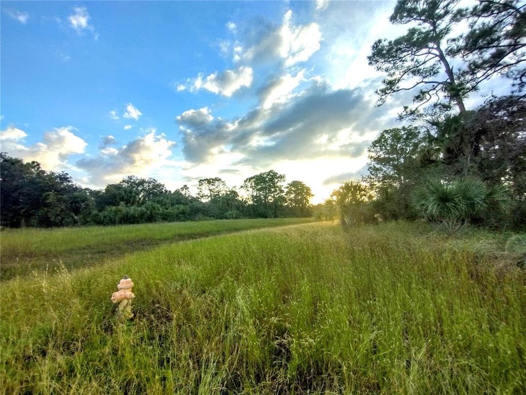 222 JOHN YOUNG TERRACE LABELLE, FL 33935