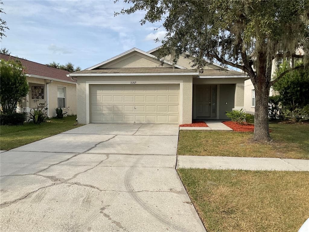 31309 TRIBOROUGH DRIVE WESLEY CHAPEL, FL 33545