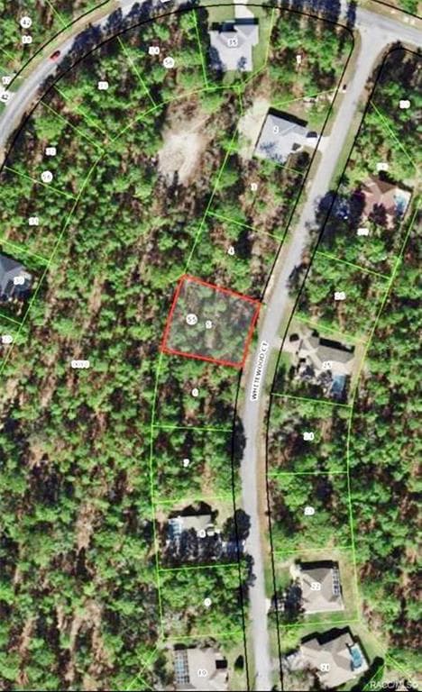 10 WHITEWOOD COURT HOMOSASSA, FL 34446