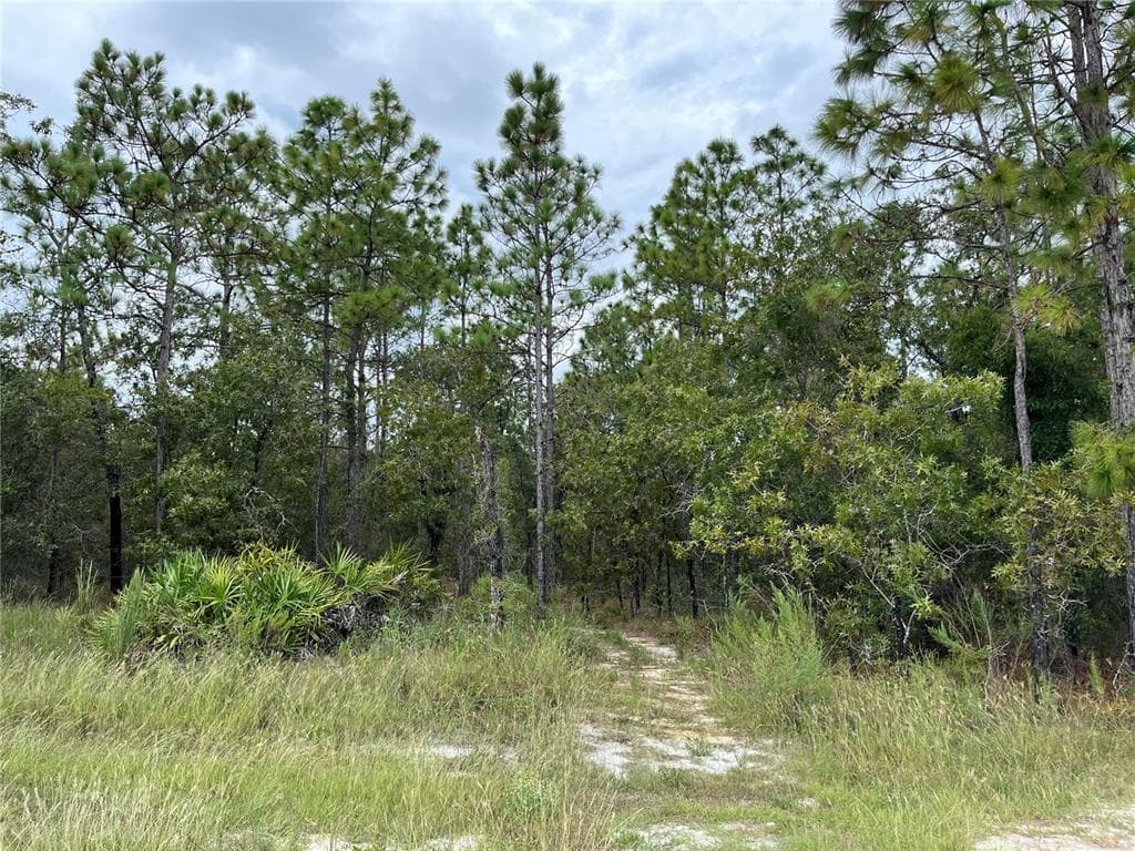 0 PENN STATE ROAD WEEKI WACHEE, FL 34614