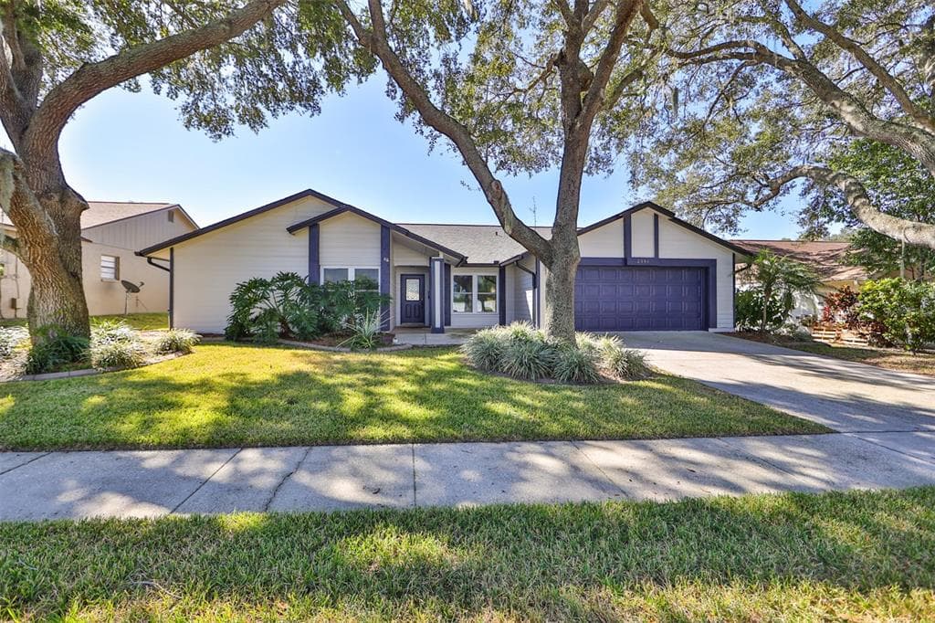 2554 BRIMHOLLOW DRIVE VALRICO, FL 33596