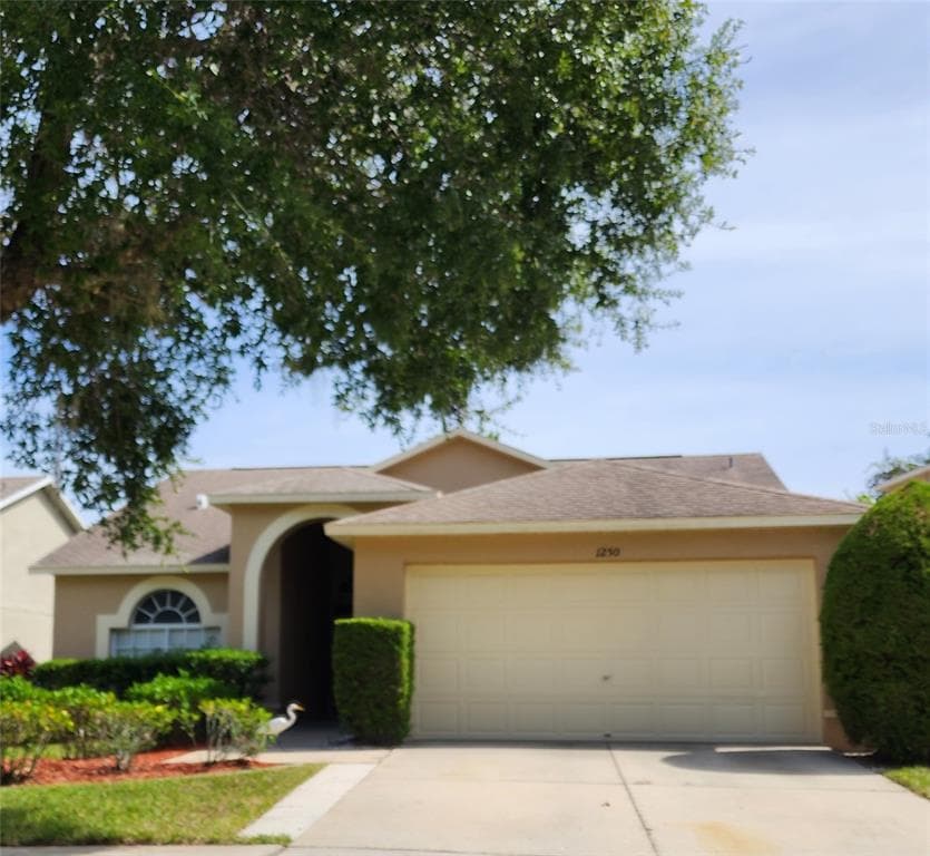 1250 SALT CLAY COURT WESLEY CHAPEL, FL 33544