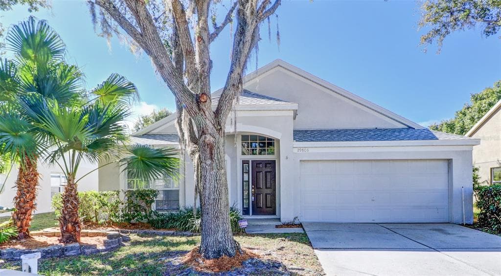 29806 MORNINGMIST DRIVE WESLEY CHAPEL, FL 33543