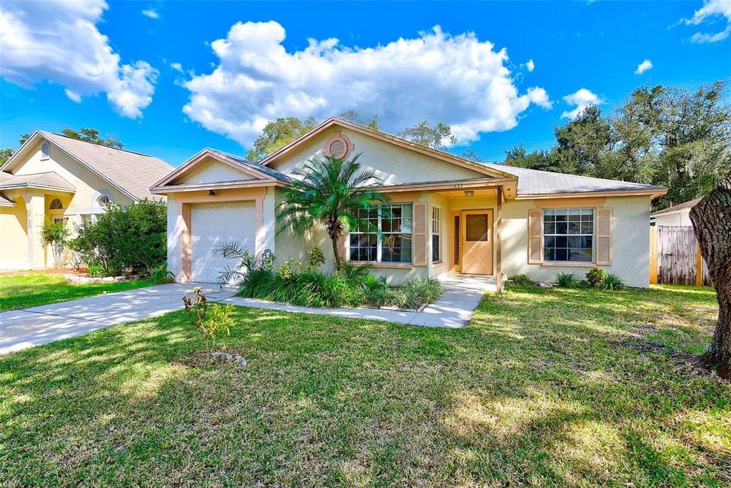 317 BENSON STREET VALRICO, FL 33594
