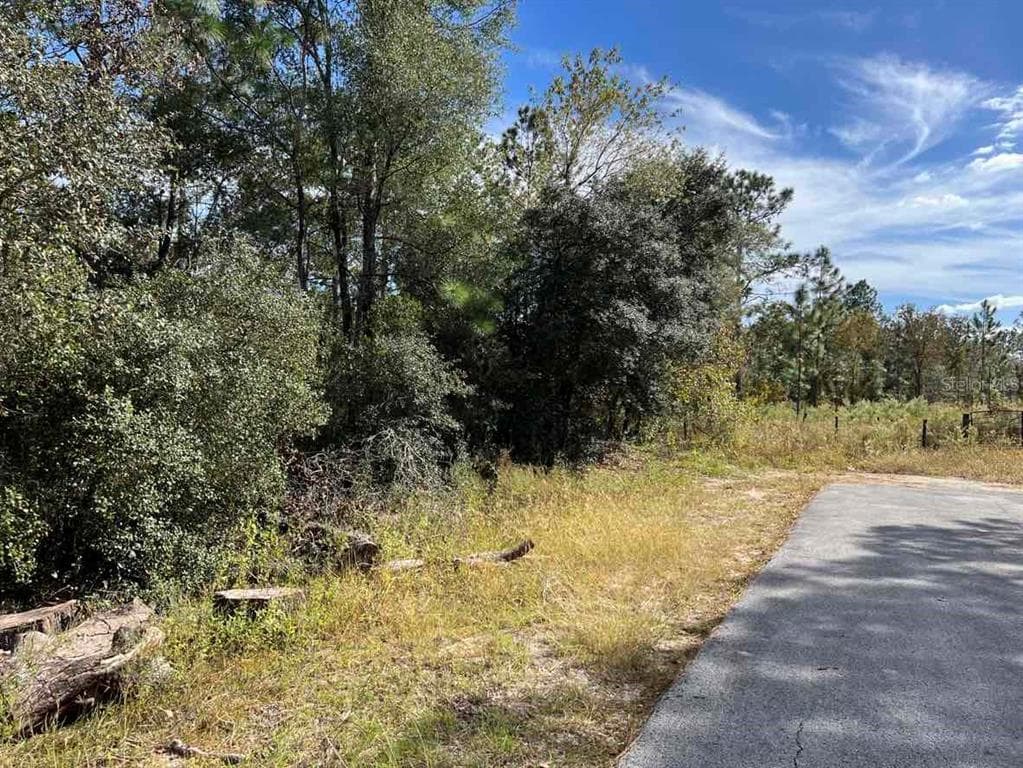 SW AZALEA COURT DUNNELLON, FL 34431