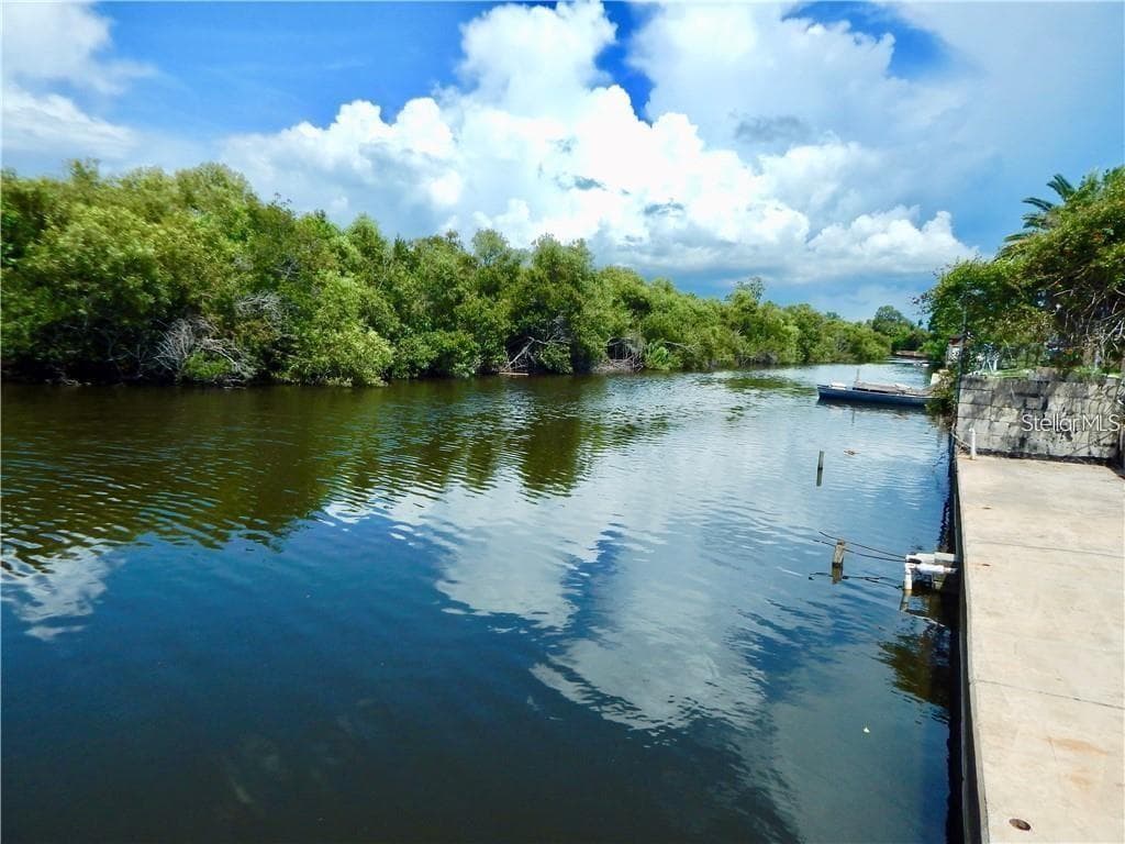 3237 ELKRIDGE DRIVE HOLIDAY, FL 34691