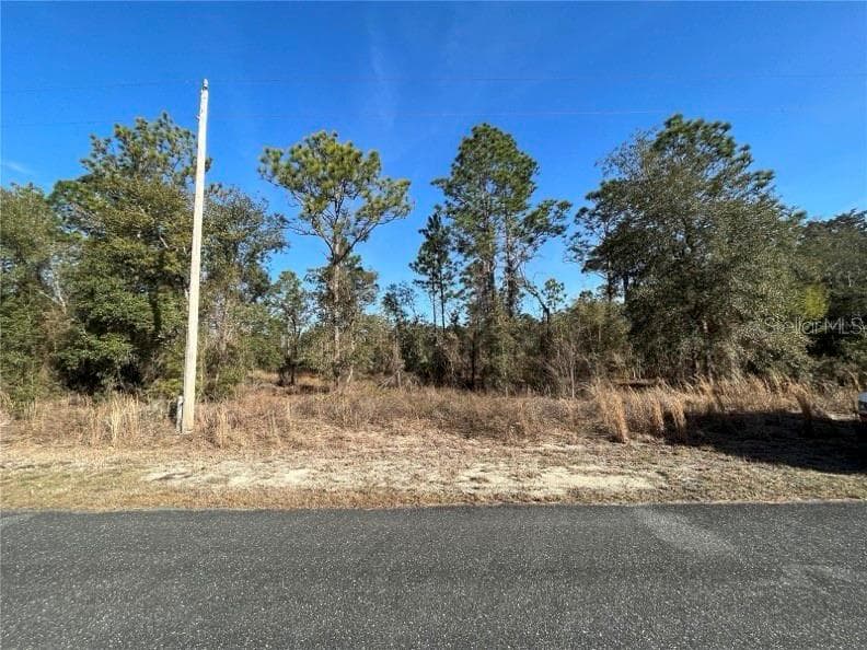 MANGO LANE DUNNELLON, FL 34431