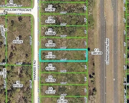 18316 PARAKEET ROAD WEEKI WACHEE, FL 34614