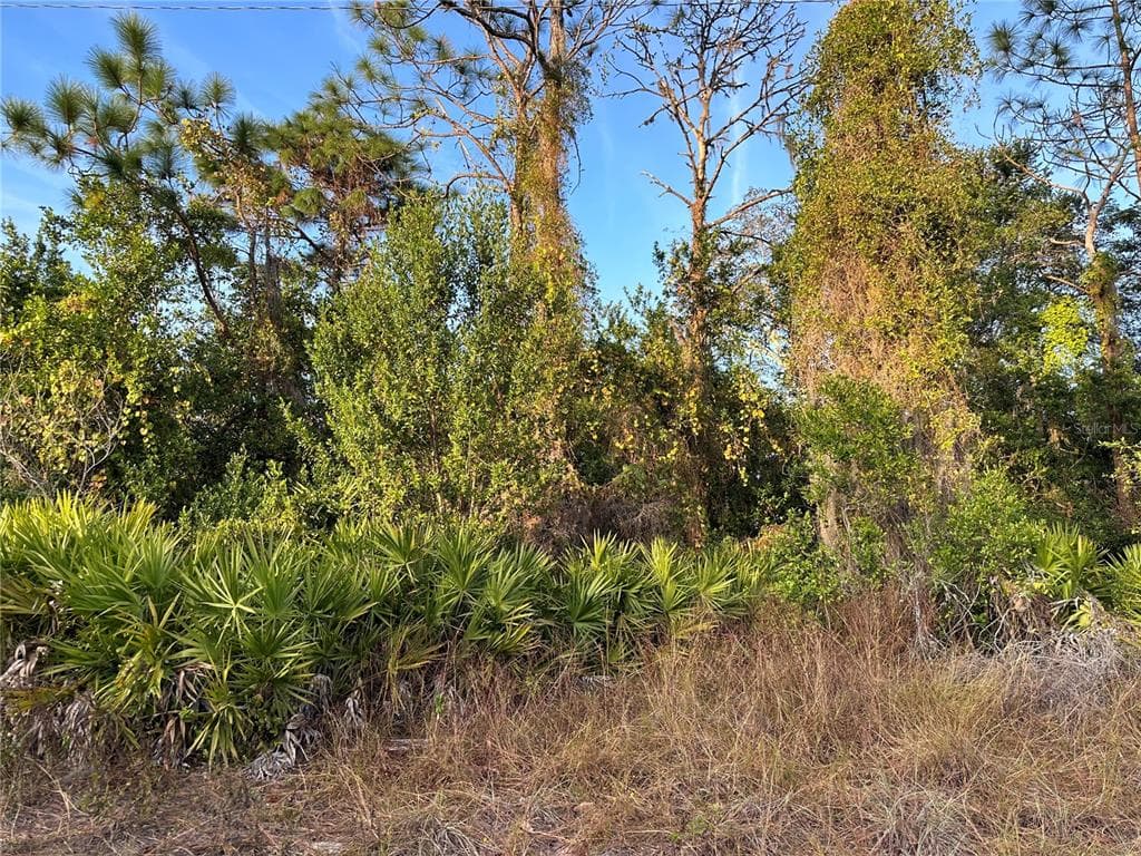 12905 CASA BIANCA AVENUE NEW PORT RICHEY, FL 34654